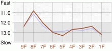 Lap Chart