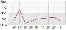 Lap Chart