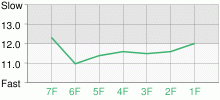 Lap Chart