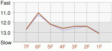 Lap Chart