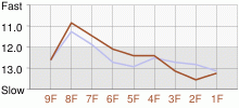 Lap Chart