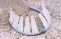 �A�_�v�^�[�p�b�h