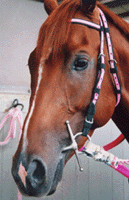 �}�n�~����