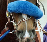 �V���h�[���[��