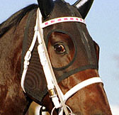 �����R���p���b�V��