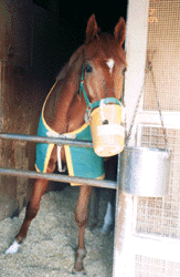 ���������p